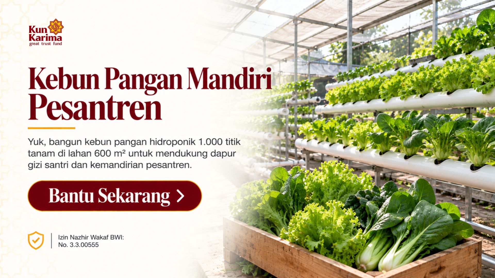 Menumbuhkan Pangan Menghadirkan Manfaat: Program #KebunKebaikan Pesantren Kun Karima