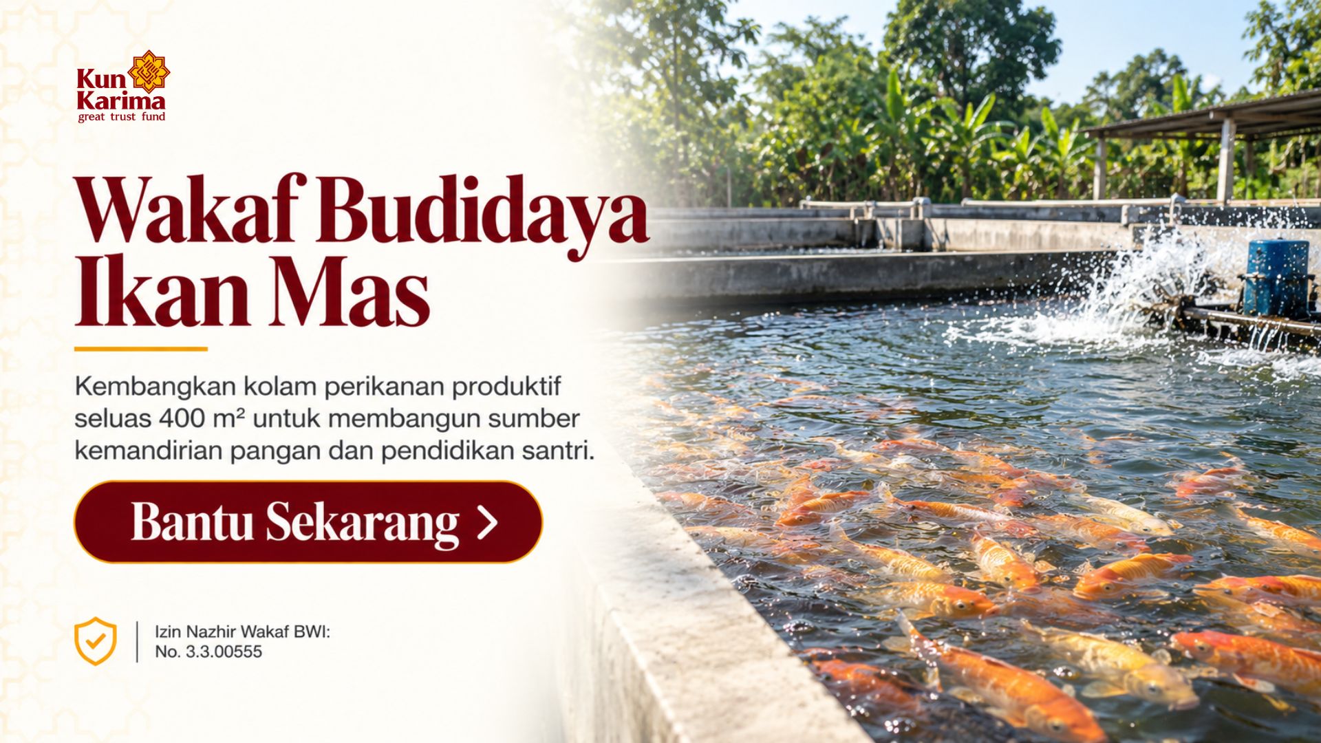 Dari Air Mengalir Berkah Mandiri: Ikhtiar #KolamKebaikan Budidaya Ikan untuk Pendidikan Santri