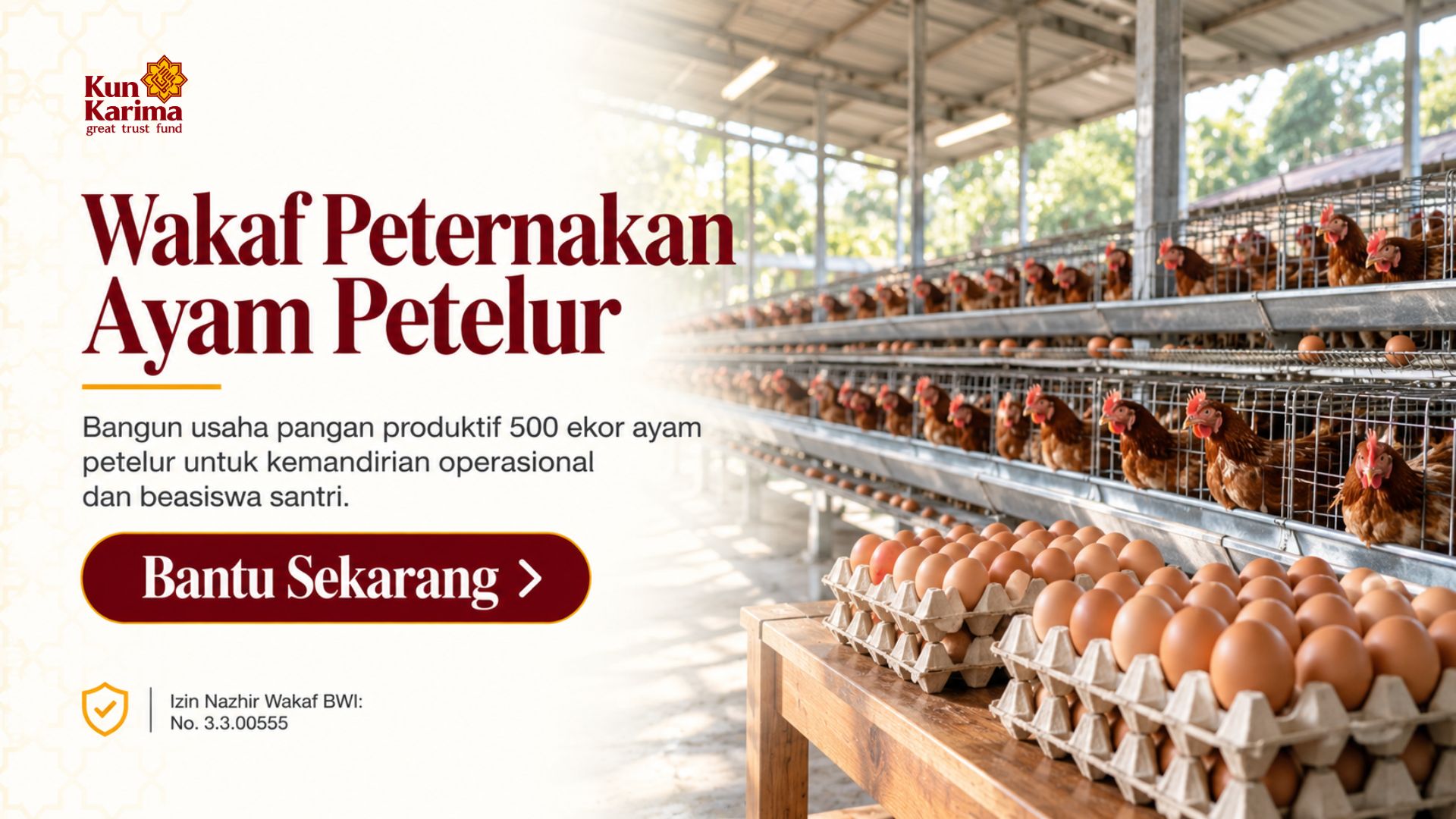 Solusi Gizi & Kemandirian Pesantren: Wakaf Produktif Peternakan Ayam Petelur Kun Karima